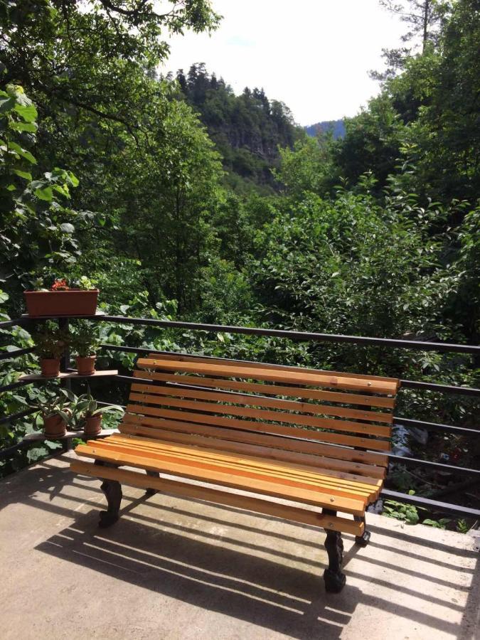 Borjomi Veranda 외부 사진